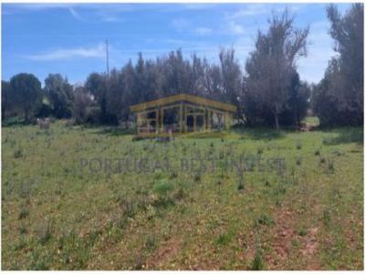 Acheter Terrain 21790 m2 Albufeira