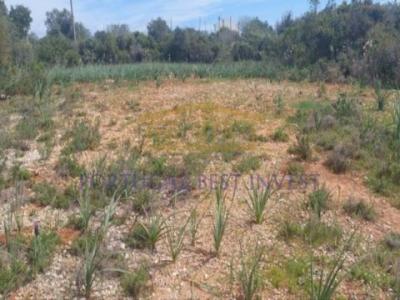 Acheter Terrain Albufeira rgion FARO