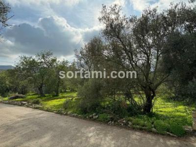 Vente Terrain Sao-bras-de-alportel  08 au Portugal