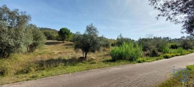 Annonce Vente Terrain Leiria