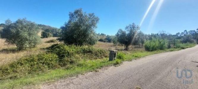 Acheter Terrain 2633 m2 Leiria