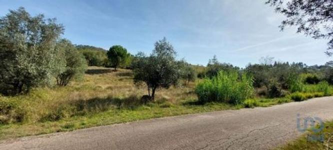 Acheter Terrain Leiria rgion LEIRIA