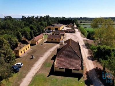 Vente Maison Costa-nova-do-prado ALHAVO-(SAO-SALVADOR) 01 au Portugal
