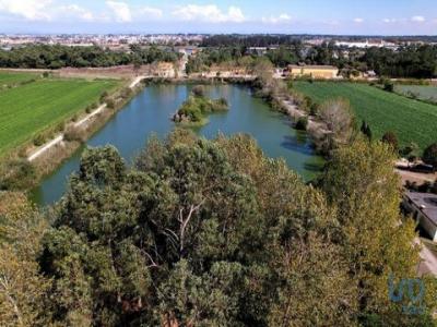 Annonce Vente Maison Costa-nova-do-prado