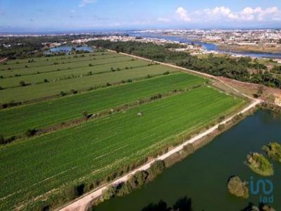 Acheter Maison 32767 m2 Costa-nova-do-prado