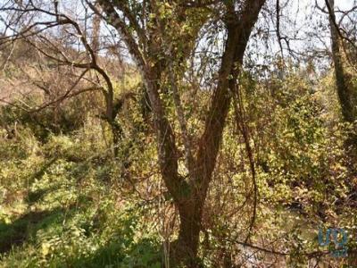 Annonce Vente Terrain Abades
