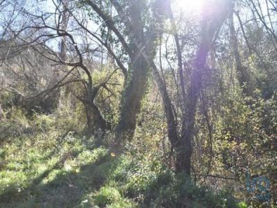 Acheter Terrain 5100 m2 Abades