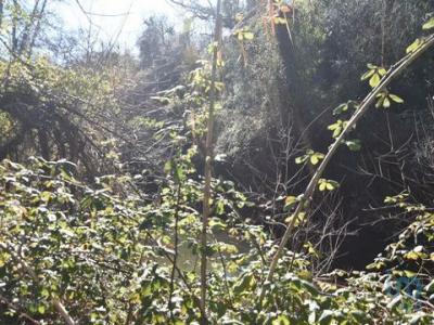 Acheter Terrain Abades rgion SANTAREM