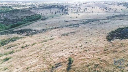 Acheter Terrain 32767 m2 Santiago-maior