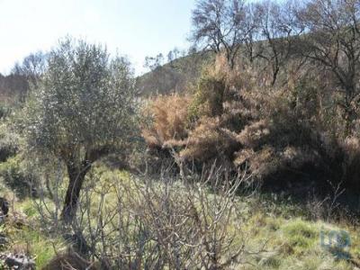 Annonce Vente Terrain Abades