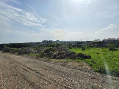Acheter Terrain 4000 m2 Sintra