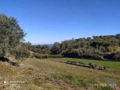 Acheter Terrain Alcobaca rgion LEIRIA