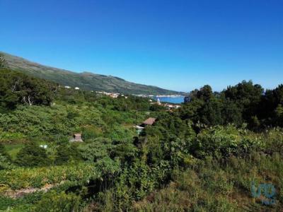 Vente Maison Lajes-do-pico LAJES-DO-PICO 20
