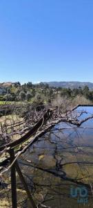 Annonce Vente Maison Marco-de-canaveses