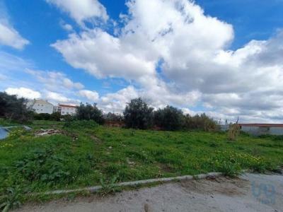 Annonce Vente Terrain Evora