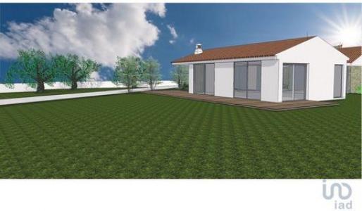 Acheter Terrain 279 m2 Loule