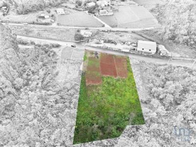 Annonce Vente Terrain Santana