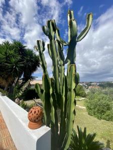 Vente Maison Loule  08