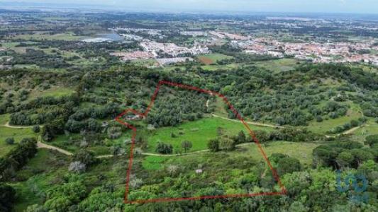 Annonce Vente Terrain Palmela
