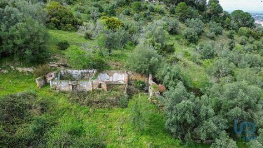 Acheter Terrain 120 m2 Palmela