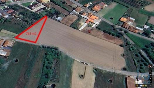 Acheter Terrain 761 m2 Oliveira-do-bairro
