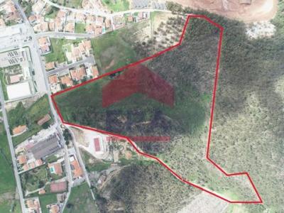 Annonce Vente Terrain Torres-vedras