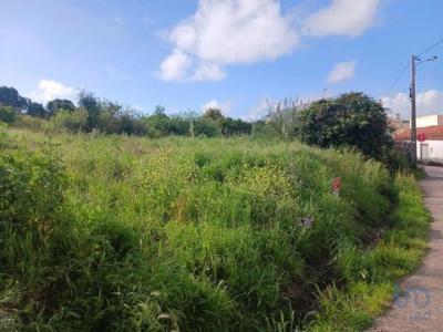Acheter Terrain 220 m2 Lourinha