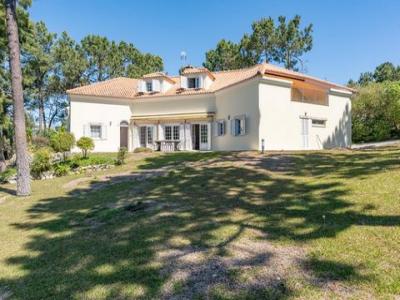 Annonce Vente Maison Grandola