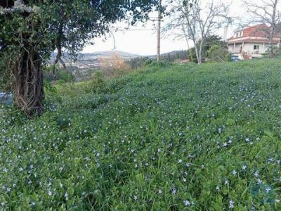 Annonce Vente Terrain Penela