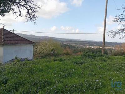 Acheter Terrain 470 m2 Penela