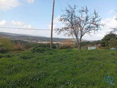 Acheter Terrain Penela rgion COIMBRA
