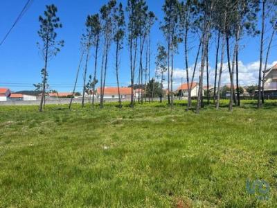 Acheter Terrain 5630 m2 Esposende