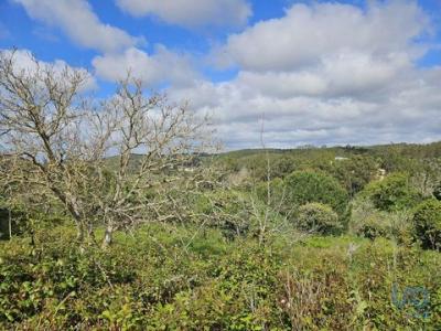 Acheter Terrain 3887 m2 Aljezur
