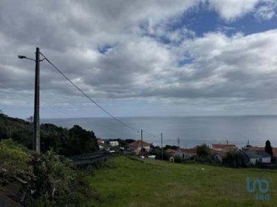 Acheter Maison Lajes-do-pico rgion ACORES