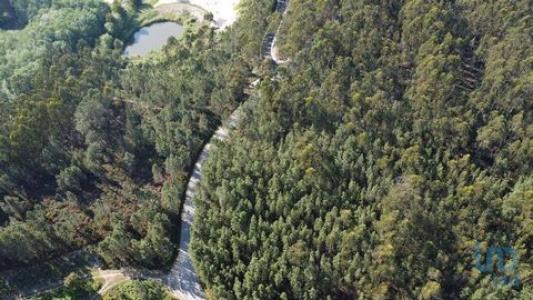 Annonce Vente Terrain Abades