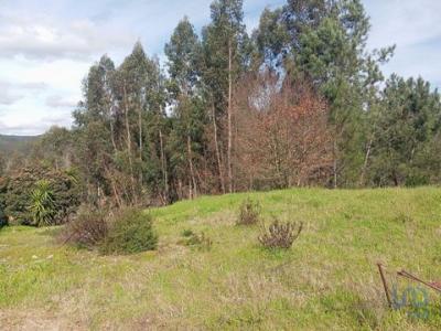 Acheter Terrain 3870 m2 Penela
