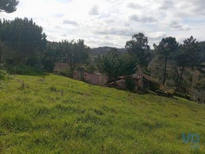 Acheter Terrain Penela rgion COIMBRA