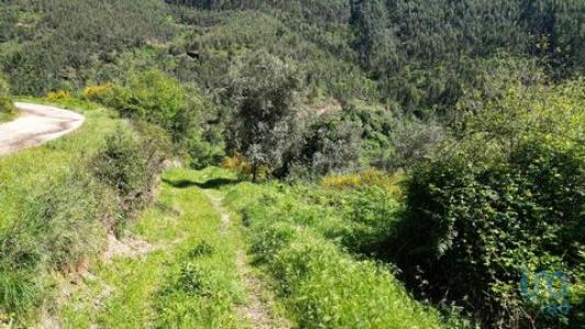 Acheter Terrain 27351 m2 Penela