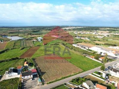 Acheter Terrain Peniche rgion LEIRIA