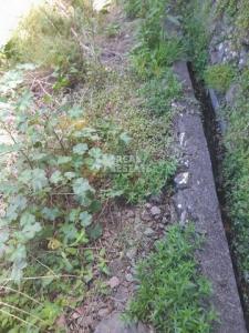 Acheter Terrain 390 m2 Porto-moniz