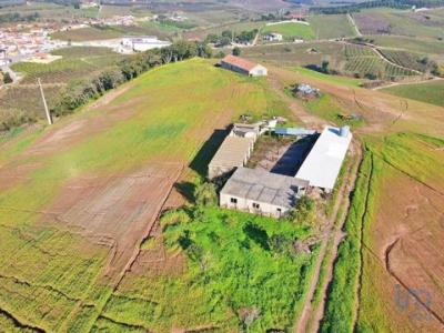 Acheter Maison 32767 m2 Cadaval
