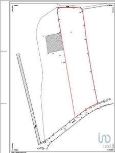 Acheter Terrain 6057 m2 Aveleda