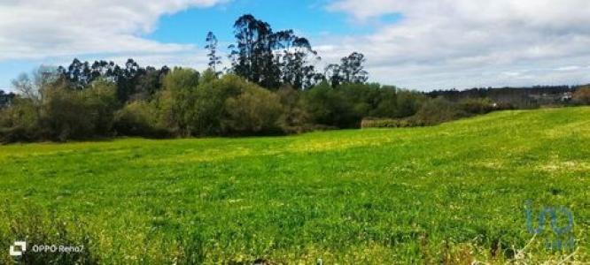 Vente Terrain Aveleda GUILHABREU 13 au Portugal