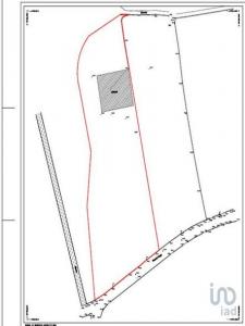 Acheter Terrain 7539 m2 Aveleda