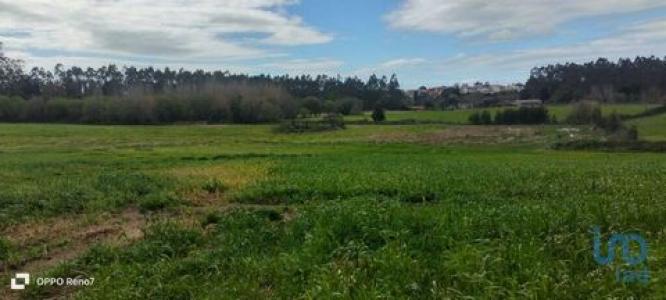 Vente Terrain Aveleda GUILHABREU 13 au Portugal