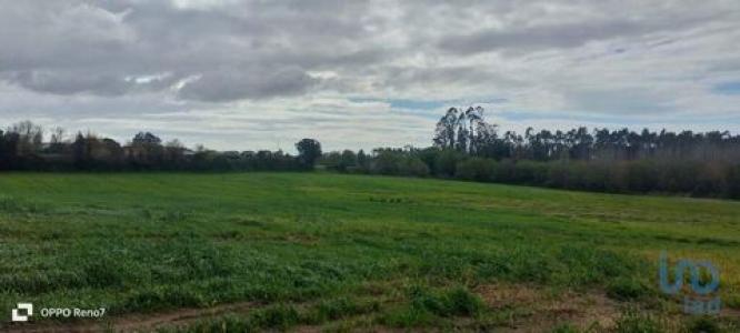 Vente Terrain Aveleda GUILHABREU 13 au Portugal