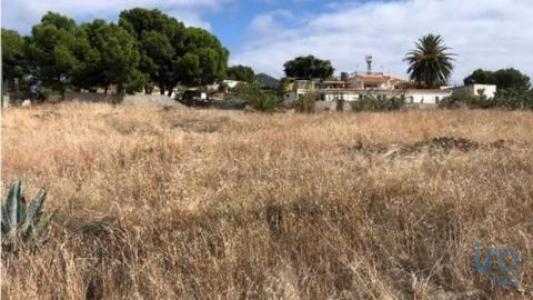 Annonce Vente Terrain Porto-santo