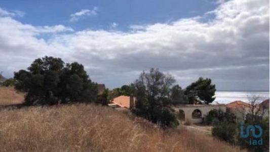 Acheter Terrain 4766 m2 Porto-santo