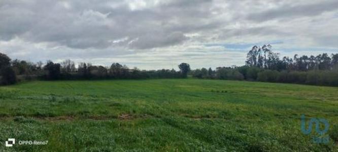 Vente Terrain Aveleda GUILHABREU 13 au Portugal
