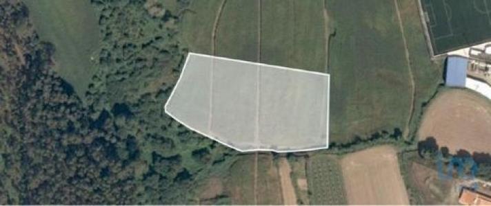 Annonce Vente Terrain Aveleda